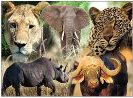 big5